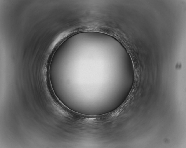 X0000100210054200806131301