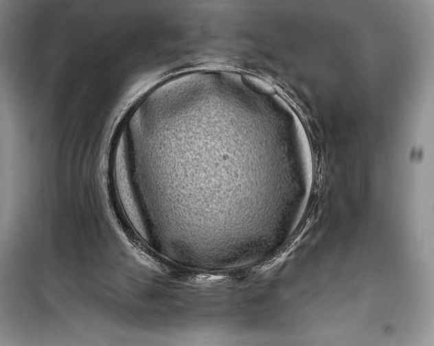 X0000100210055200806131301