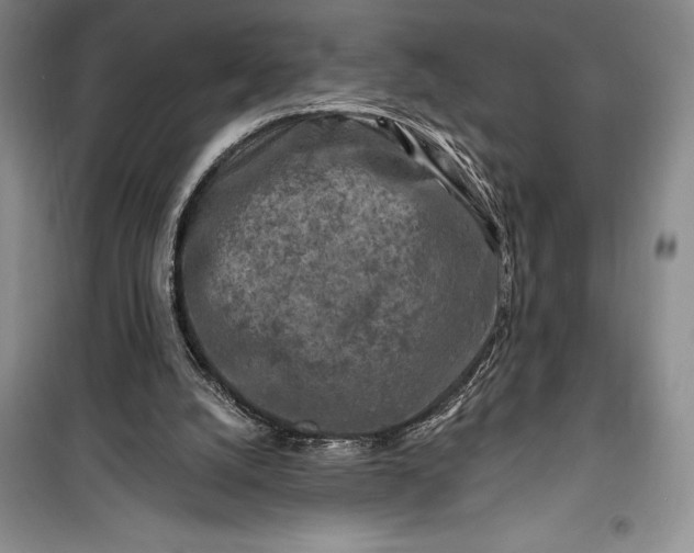 X0000100210056200806131301