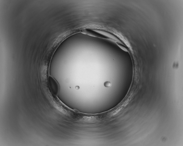 X0000100210057200806131301