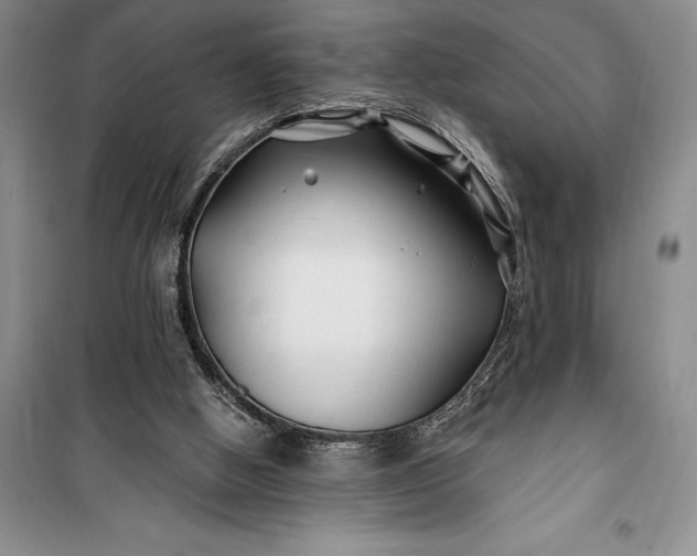 X0000100210058200806131301