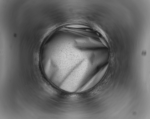 X0000100210059200806131301