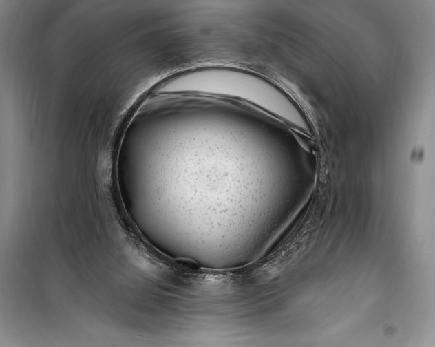 X0000100210060200806131301