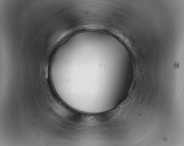 X0000100210062200806131301