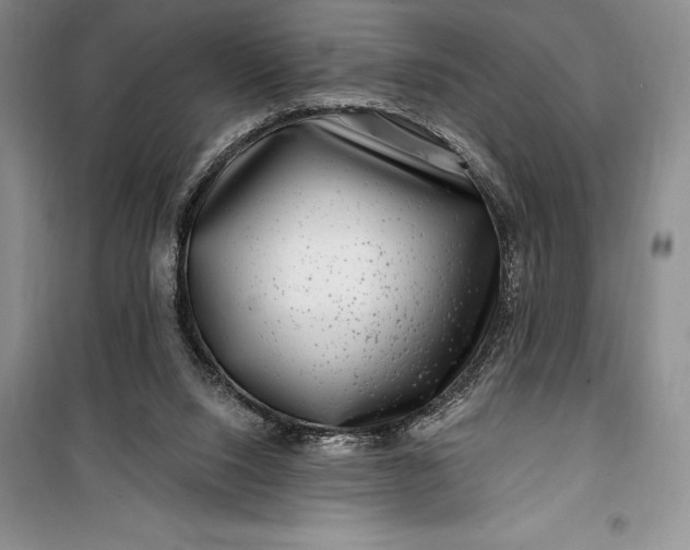 X0000100210064200806131301