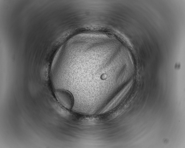 X0000100210065200806131301