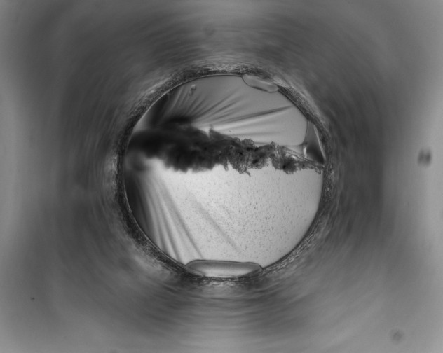 X0000100210066200806131301