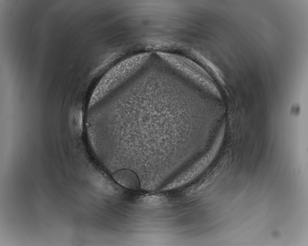 X0000100210067200806131301