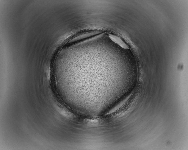 X0000100210068200806131301