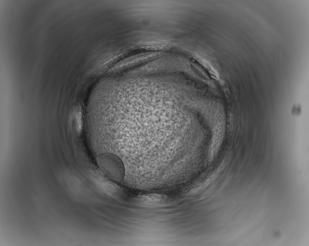 X0000100210069200806131301