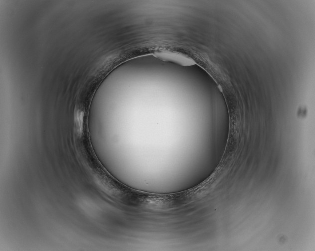 X0000100210070200806131301