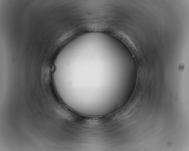 X0000100210071200806131301