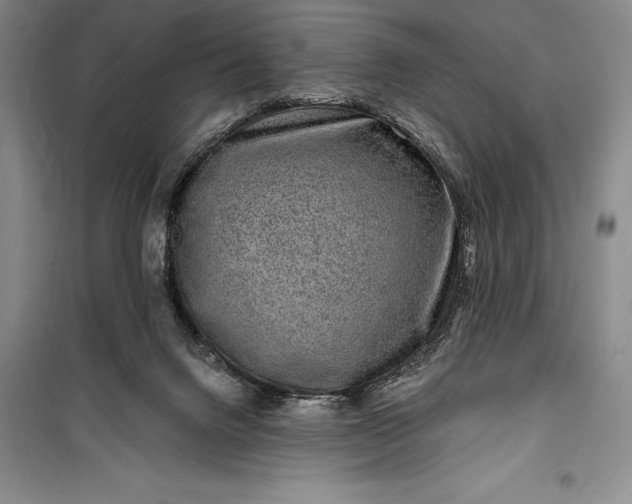 X0000100210072200806131301