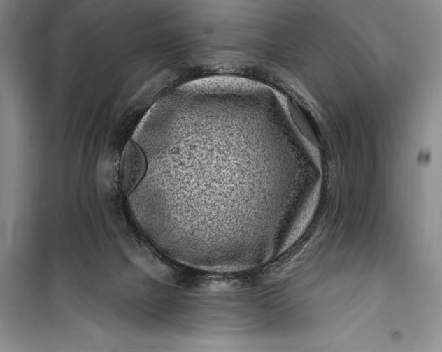 X0000100210073200806131301