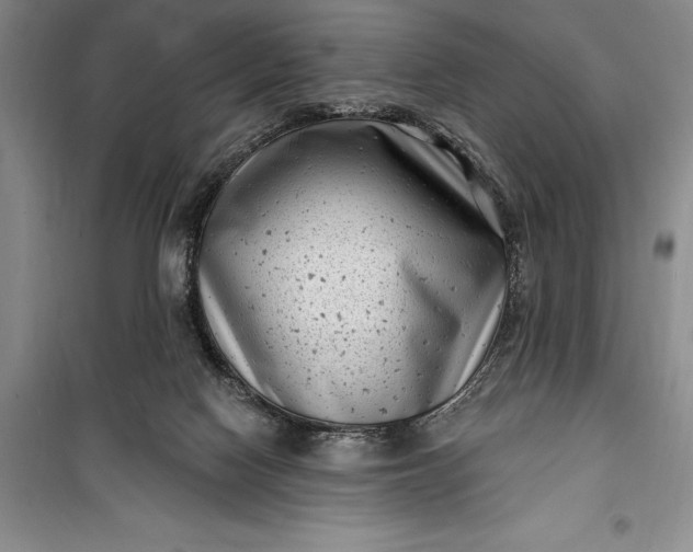 X0000100210074200806131301