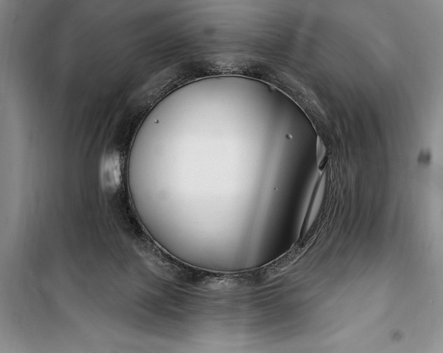 X0000100210075200806131301