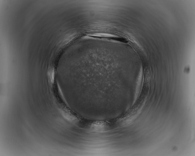 X0000100210076200806131301