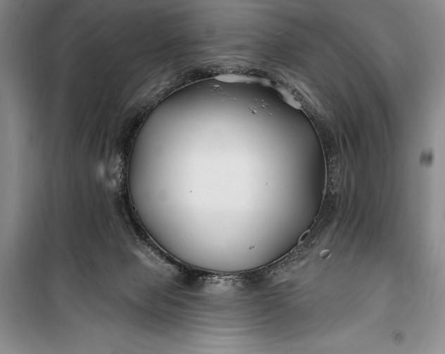 X0000100210077200806131301