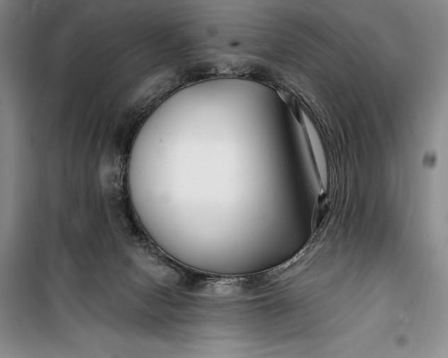 X0000100210078200806131301