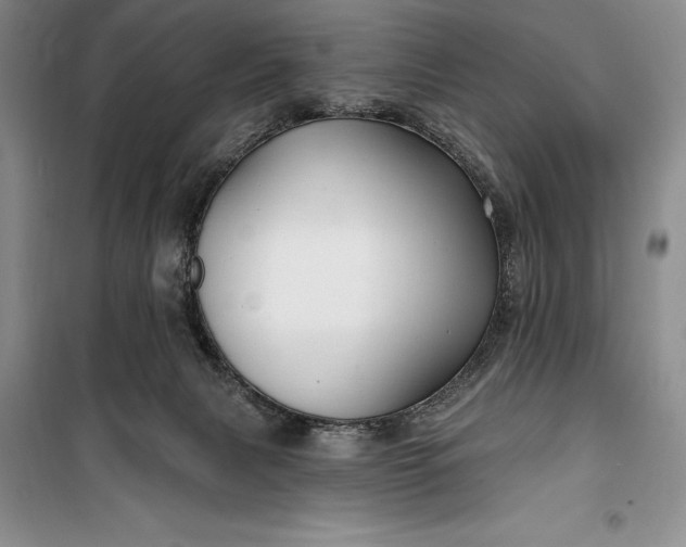 X0000100210079200806131301