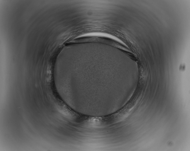 X0000100210080200806131301