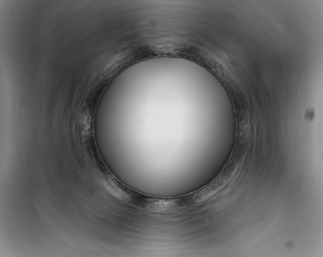 X0000100210081200806131301