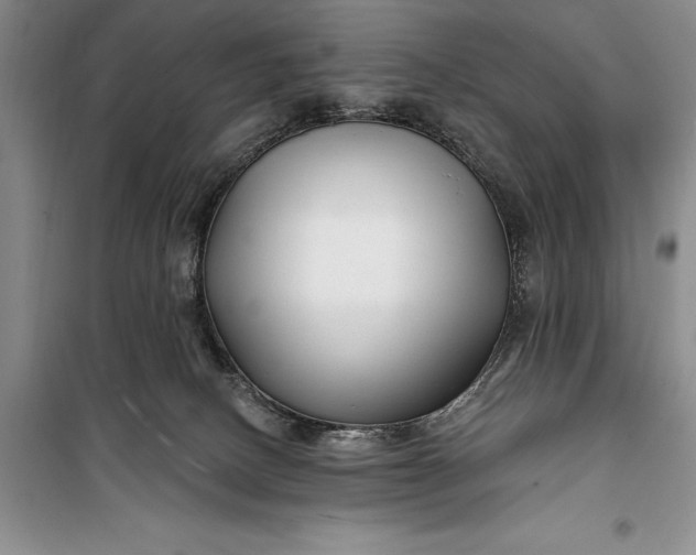 X0000100210082200806131301