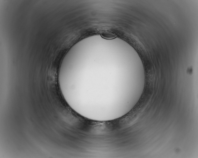 X0000100210083200806131301