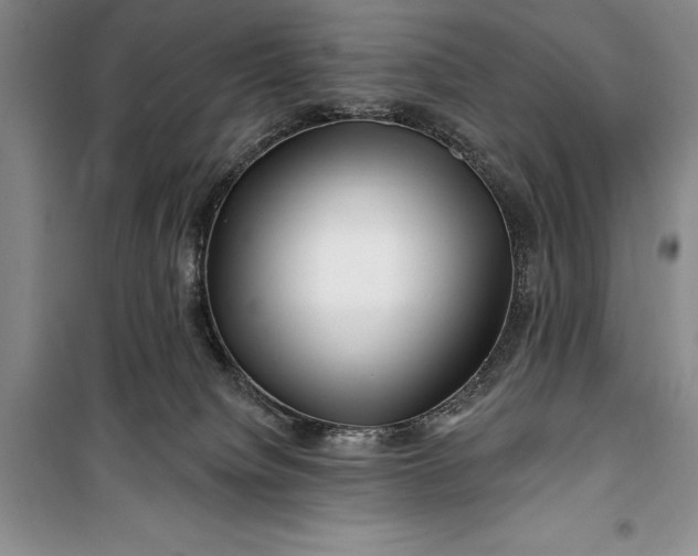 X0000100210084200806131301