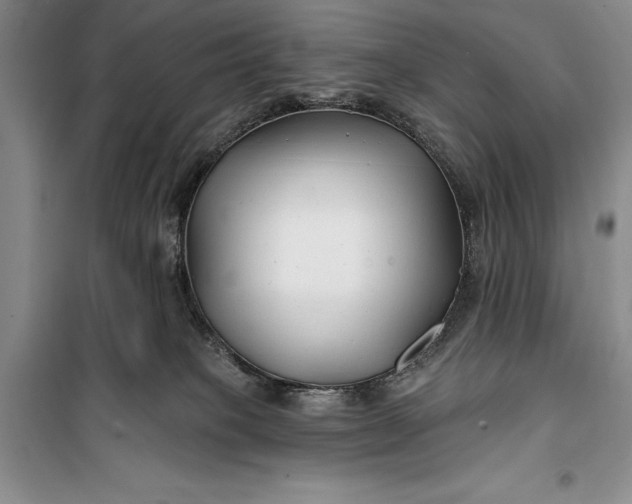 X0000100210085200806131301