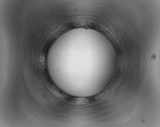 X0000100210087200806131301