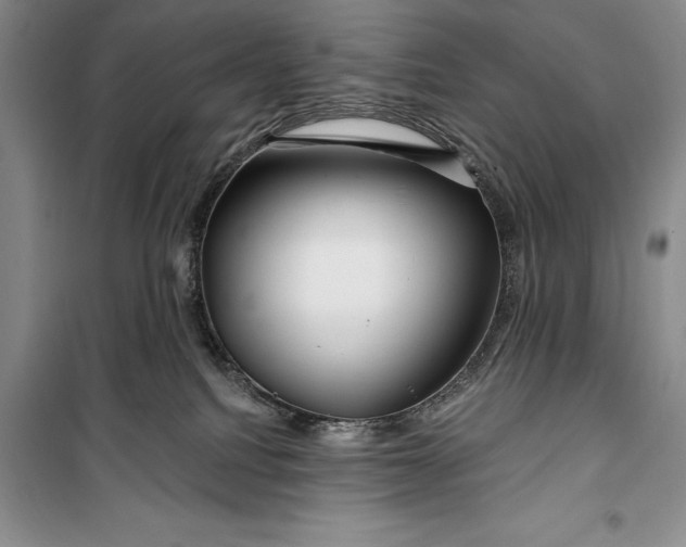 X0000100210088200806131301