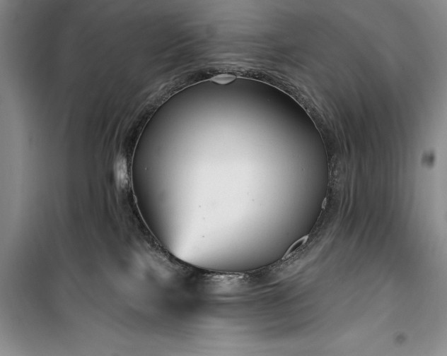 X0000100210089200806131301