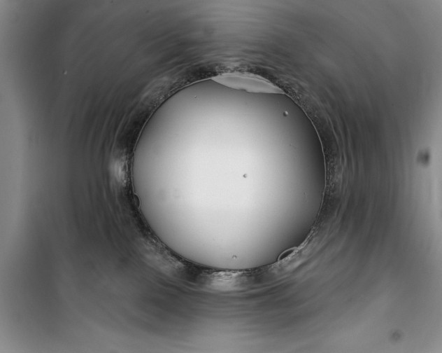 X0000100210090200806131301