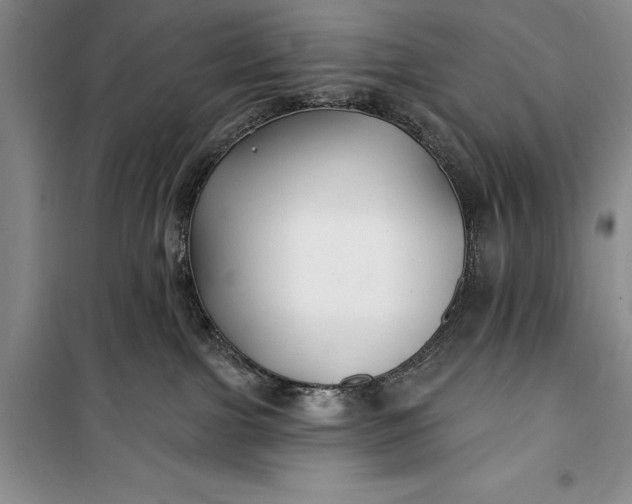 X0000100210091200806131301