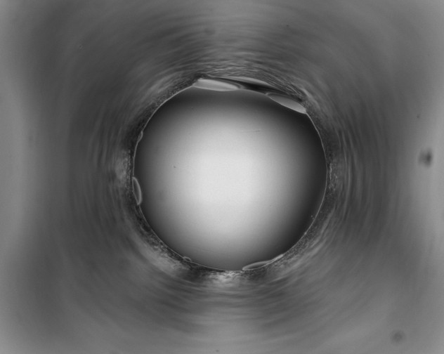 X0000100210092200806131301