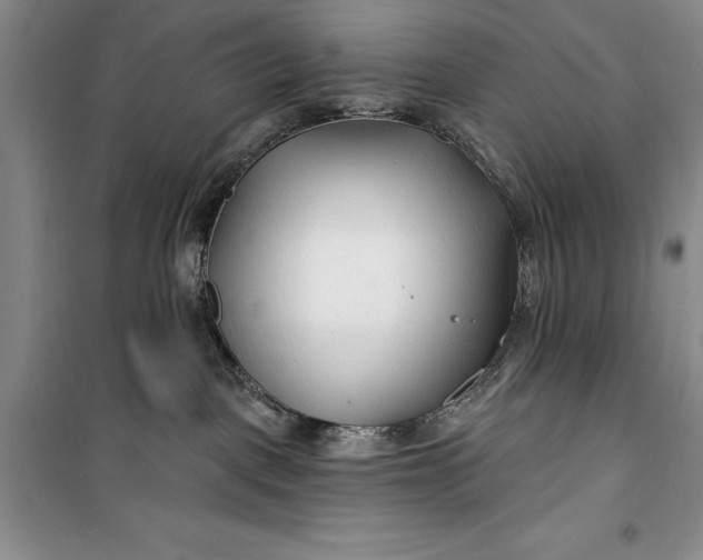 X0000100210093200806131301