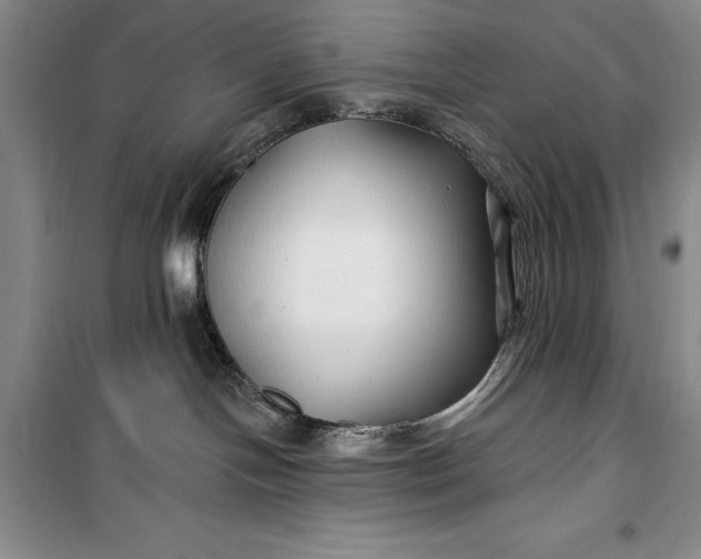 X0000100210094200806131301