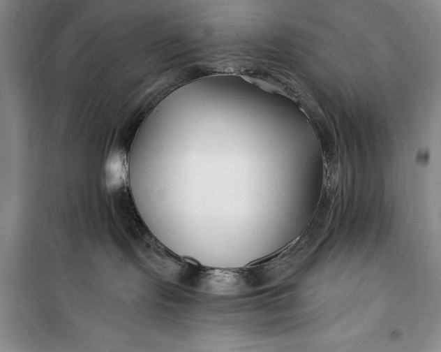 X0000100210095200806131302