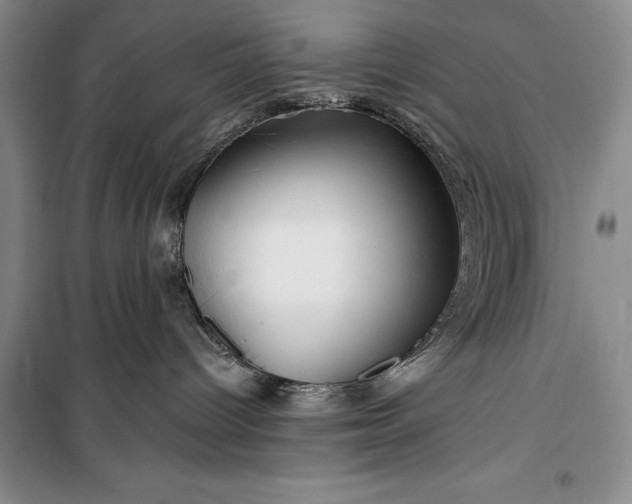 X0000100210096200806131302