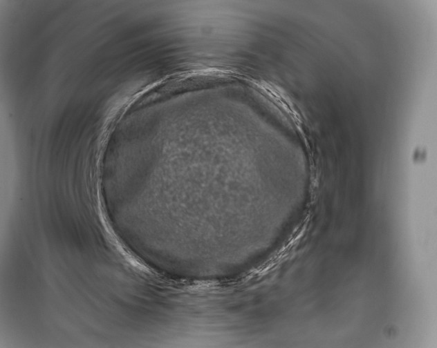 X0000100210097200806131301