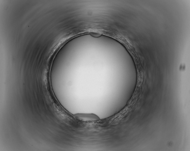 X0000100210098200806131301