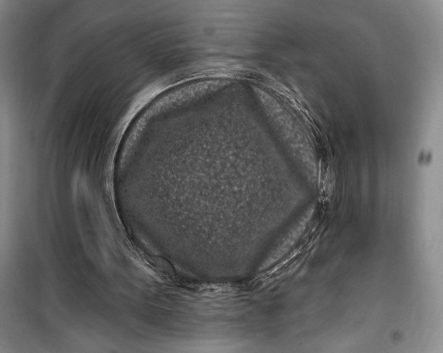 X0000100210099200806131301