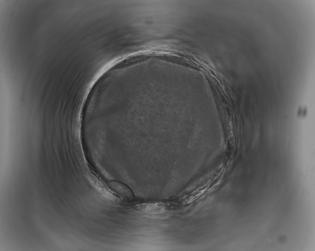 X0000100210100200806131301