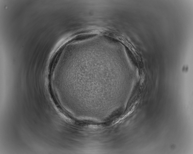 X0000100210101200806131301