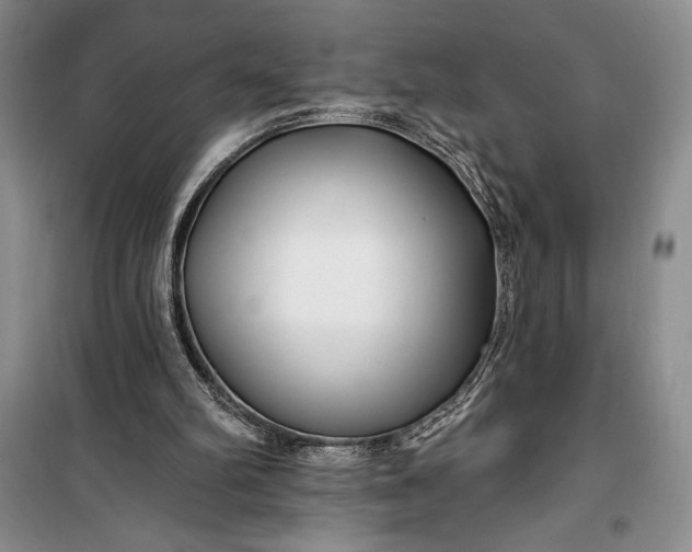 X0000100210102200806131301