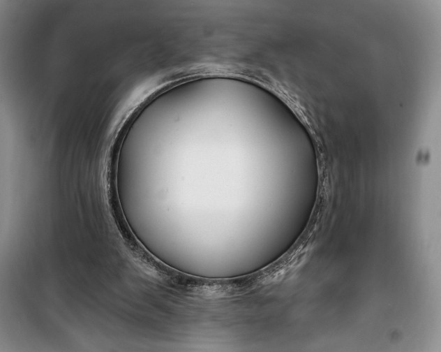 X0000100210103200806131301