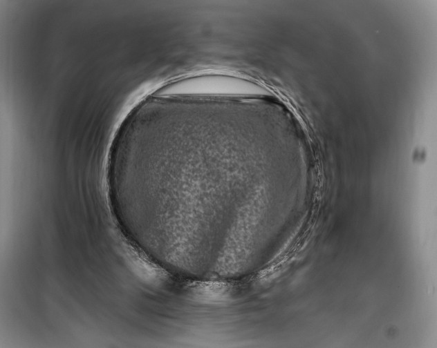 X0000100210104200806131301