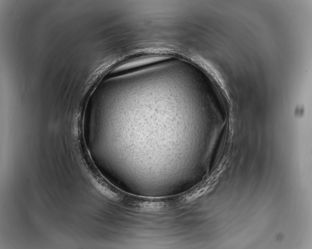 X0000100210105200806131301