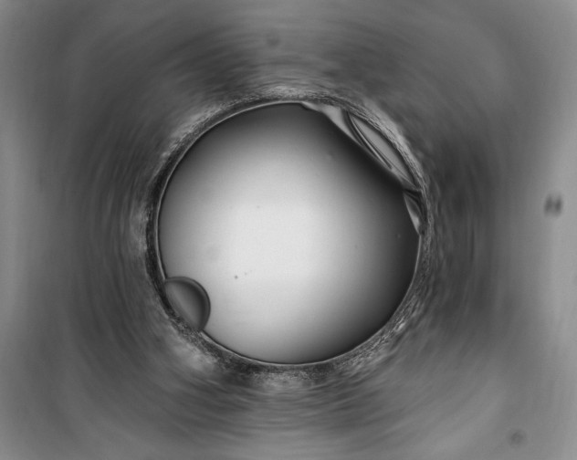 X0000100210106200806131301